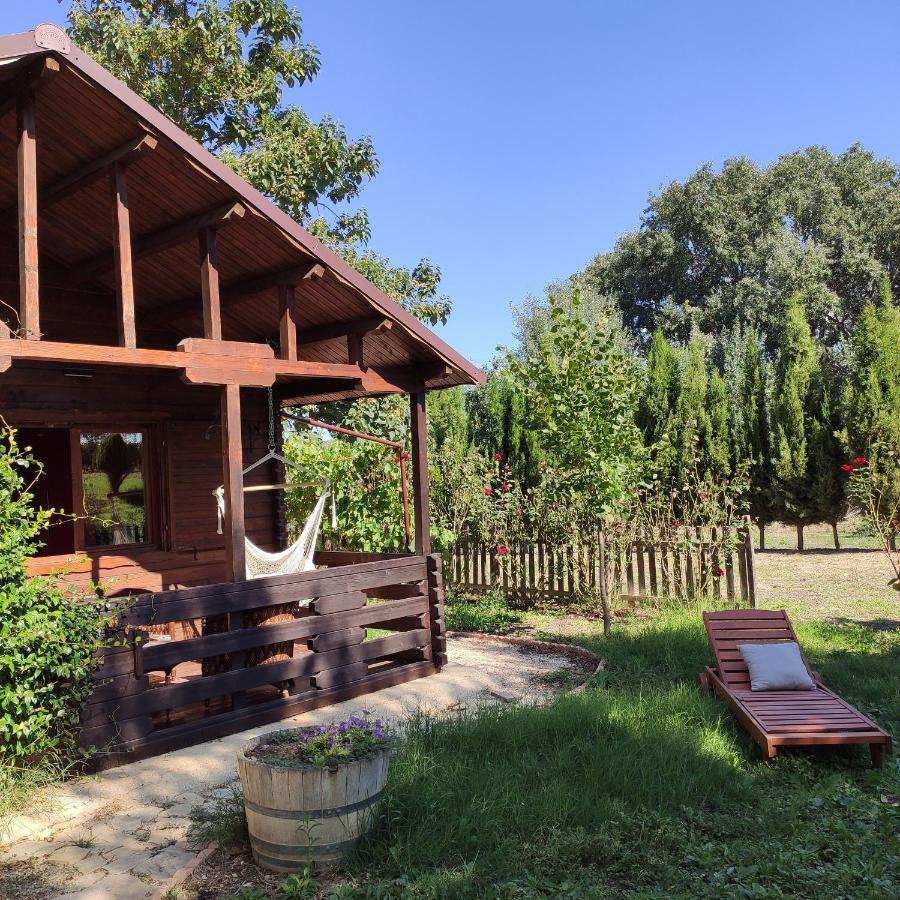Pago de Tharsys Requena Exterior foto